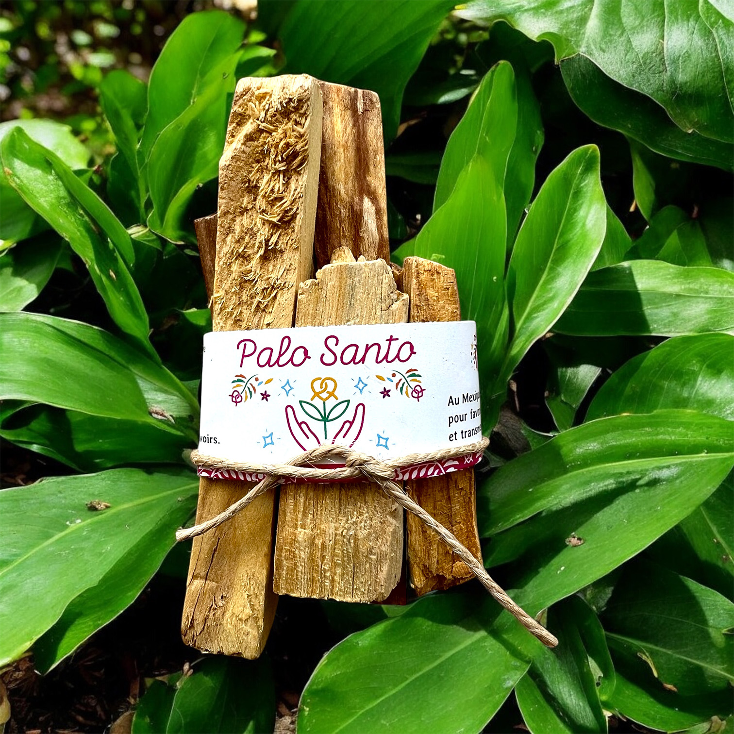 Palo Santo Mexique Art Boutique